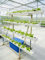 Système hydroponique NFT pour la culture de légumes sans terre, équipement d'irrigation agricole à base de tuyaux haute rigidité