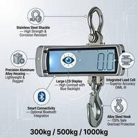 Báscula Grúa Colgante Portátil Modelo OCS-S2 100kg Máx. Pantalla LCD de 41mm Control Remoto OEM Personalizable Marca Junebreath para Pesaje