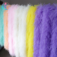 Boa en Plumes d'Autruche Teintées de 1 à 20 Plis, 10-15 cm, pour Costumes de Femmes, Vêtements, Danse, Carnaval, Fêtes, Mariages et Défilés de Mode