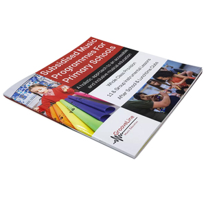 SHINY Stampa Rapida di Brochure, Volantini e Opuscoli A4 Pieghevoli con Logo e Motivo Personalizzati, Stampa Digitale con Piccolo MOQ - Product Image 3