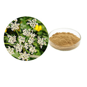 Estratto di Frutto di Carviola Naturale in Polvere 20:1 - Product Image 1