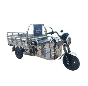 Vendita calda di cargo elettrico solare Tricicleto con tetto 3 ruote elettrico per il carico made in cina triciclo solare cabina