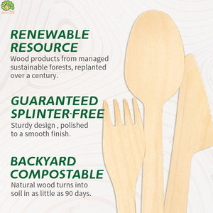 Thân Thiện Với Môi Trung Quốc Các Nhà Sản Xuất Wholesale165mm Phân Hủy Sinh Học Dao Kéo Dùng Một Lần Bằng Gỗ Muỗng Nĩa Và Dao - Product Image 6