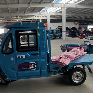 Blue 60V Trike with Enclosed Cabin 100-200kg Payload 50-70km <b>Range</b> for Transport Logistics & Delivery - Product Image 3