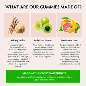 Gomitas de Ashwagandha de marca personalizada con suplemento herbal de fruta Amla, mejora la calidad del sueño para gomitas Ashwagandha - Product Image 4