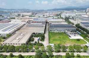 Personalização de fábrica MIP ou Copa para Mangueira 125 psi WOG Latão Trimestre Turn No-Kink Mangueira Bibb - Product Image 4