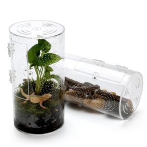 Örümcek Gecko için Premium şeffaf böcek besleme konteyner küçük sürüngen kafes teraryum besleme kutusu - Product Image 1