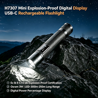 Lampe torche tactique anti-explosion ExibIICT4Gb 3W LED IP66 étanche rechargeable 18500 pour l'exploitation minière, la pétrochimie, logo personnalisé