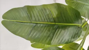 Artificial Plants And Trees Cheap Small Leaf Market Strelitzia Plant Banana Tree Artificial
