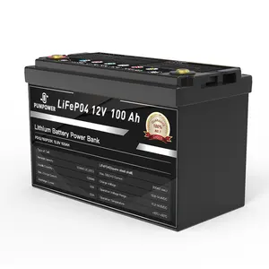 Pumpower 12.8V Deep Cycle 12V100Ah 12V 24V 100Ah 200Ah Solar Batterie Box Lifepo4 Lithium Ion Battery Litum Pack