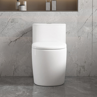 Ensemble de toilettes en céramique monobloc à poser au sol avec chasse d'eau cyclonique pour usage extérieur