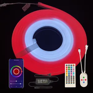 Kit de lumières néon à corde LED RVB Smart Diy avec synchronisation de musique pour décor de jeu intérieur et extérieur