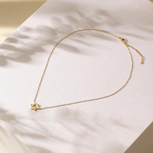 महिला इज़राइल यहूदी धार्मिक आभूषण पेंडेंट स्टेनलेस स्टील स्टार ऑफ़ डेविड हार - Product Image 2