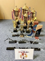 Trophée personnalisé en métal et résine pour événements sportifs, reconnaissance d'entreprise et compétitions scolaires avec logo