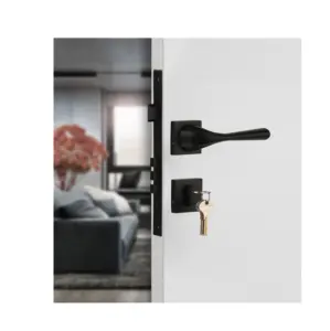 Standard Quality Security Black Mortise Main Door Handle with Lock for Wood and Glass Door Application