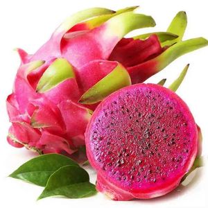 Polvo <span class=keywords><strong>de</strong></span> Fruta del Dragón - Sin OMG, <span class=keywords><strong>Pitahaya</strong></span> Liofilizada, <span class=keywords><strong>Pitahaya</strong></span> Cruda, Superalimento Vegano, a Granel, Sin Irradiación, Rico en Vitaminas - Product Image 3