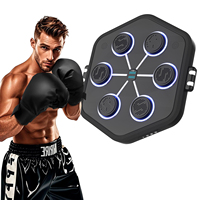 One Punch-Appareil de boxe pour adultes, sport, soulagement du stress, musique intelligente, avec gants de boxe