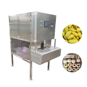 High Quality Professional Automatic Mango Peach Peeler Peeling Machine