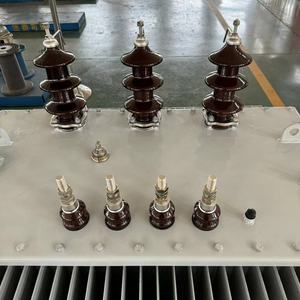 Transformador Trifásico de 100kVA, 125kVA, 250kVA, 10kV, Sumergido en Aceite, con Bobinado de Cobre, 50/60Hz, Certificado IEEE/EU, Larga Garantía, Buen Precio - Product Image 3
