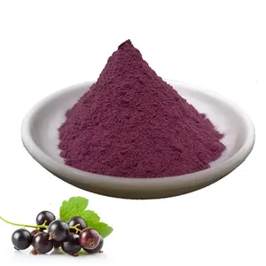 Natural Organic Fresh Frozen Fruit Product Dreid Anthocyanin Black Currant Extract