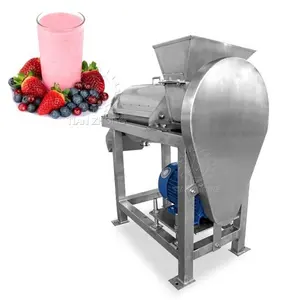 Hoge Kwaliteit Druivensap Machine/Ananassap Schroef Pers Extractor/Gember Sap Maken Machine
