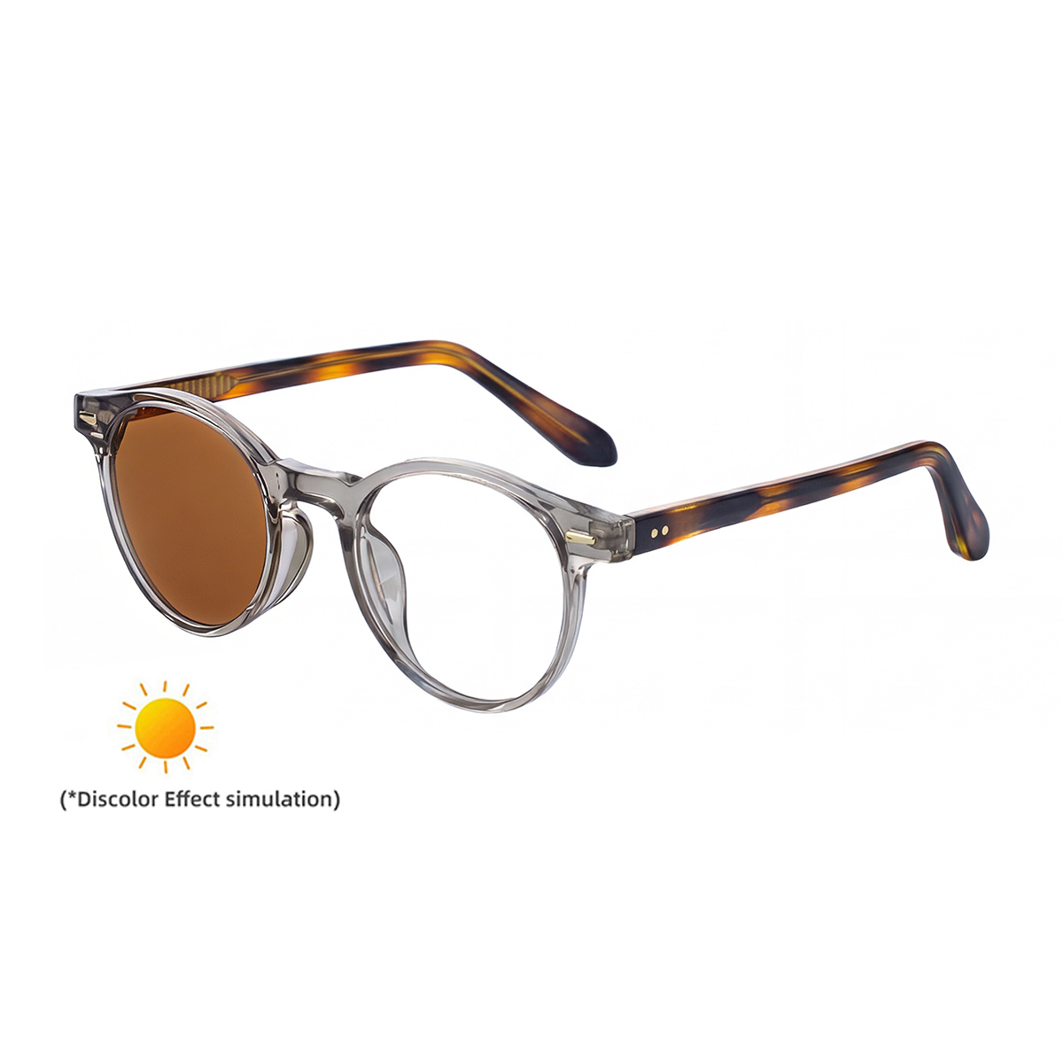 C6 Transparency Gray Frame Brown Tortoise Turn Brown