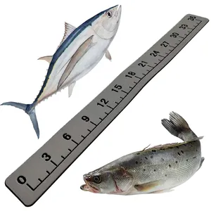 Adhesive Fish Measuring Tape