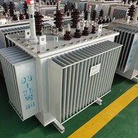 Transformador Sumergido en Aceite de 315 kVA Montado en Poste con Enfriamiento Confiable