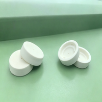 Tapa de Protección de Termopar de Cerámica de Alúmina Al2O3 de Alta Pureza HT para Termopares Tipo S, R, B - Piezas de Cerámica Personalizadas