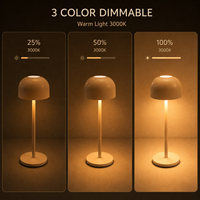 Lampe de bureau LED portable rechargeable, décoration d'intérieur, chambre à coucher, salon, lampe de chevet, lampe de table sans fil, lampe décorative dorée