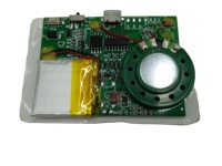 Module enregistreur de son et de musique miniature personnalisé pour cartes de vœux, jouets musicaux et cadeaux – Fabricant professionnel