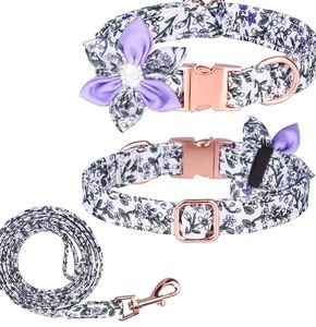 Accesorios para perros de alta calidad, conjuntos de collar y correa para perros personalizados de lujo con lazo de fijación - Product Image 3