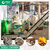 Petit moulin à granulés de biomasse de paille de scie à bois à haute productivité pour la fabrication d'écorce de riz, granulés dans le processus de Production