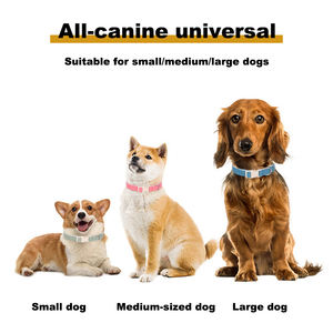 Klassisches umwelt freundliches gepolstertes Hunde halsband und Leinen-Set Neuestes organisches recyceltes nachhaltiges Hanf-Hunde halsband 6 Farben auf Lager - Product Image 3