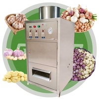 Ligne de production de machine de nettoyage à sec pour séparateur d'ail domestique humide 110 volts avec compresseur d'air