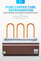 Congélateur commercial combiné avec porte vitrée, type îlot, à refroidissement ventilé pour aliments surgelés, crème glacée, poulet, poisson, fruits de mer