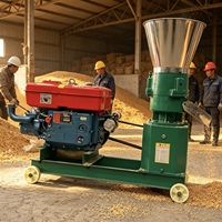 Machine à granulés d'aliments pour animaux, électrique, pour la fabrication de granulés d'aliments pour volailles, porcs, bovins, moutons, fabrication de granulés d'aliments, fournie par l'usine.