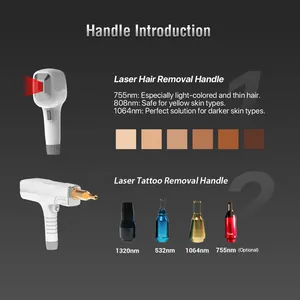 Professional 2 Handles Laser Hair Removal And Tattoo Removal Laser Machine