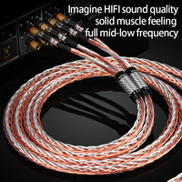 OCC kabel Speaker Hifi berlapis perak, kabel bi-wiring dengan Terminal pisang satu pasang untuk aplikasi mikrofon