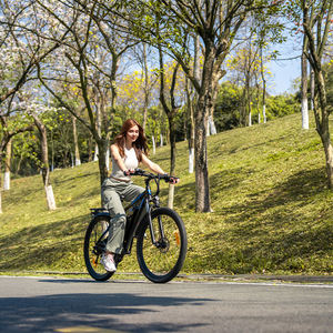 Bicicleta Eléctrica Urbana Todoterreno Duotts C29 Nueva Versión Mejorada, Motor de Tracción Trasera de 65 nm, Almacén en Europa y Reino Unido - Product Image 1