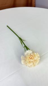 Champagner Farbe Hochzeit Hotel Fotografie Ästhetisches Blumen material Seiden halle Landebahn Willkommen bereich eingerichtet - Product Image 5