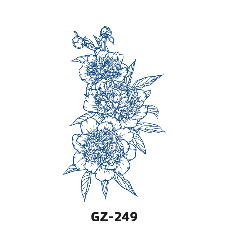 GZ-249   GZ-249   GZ-249