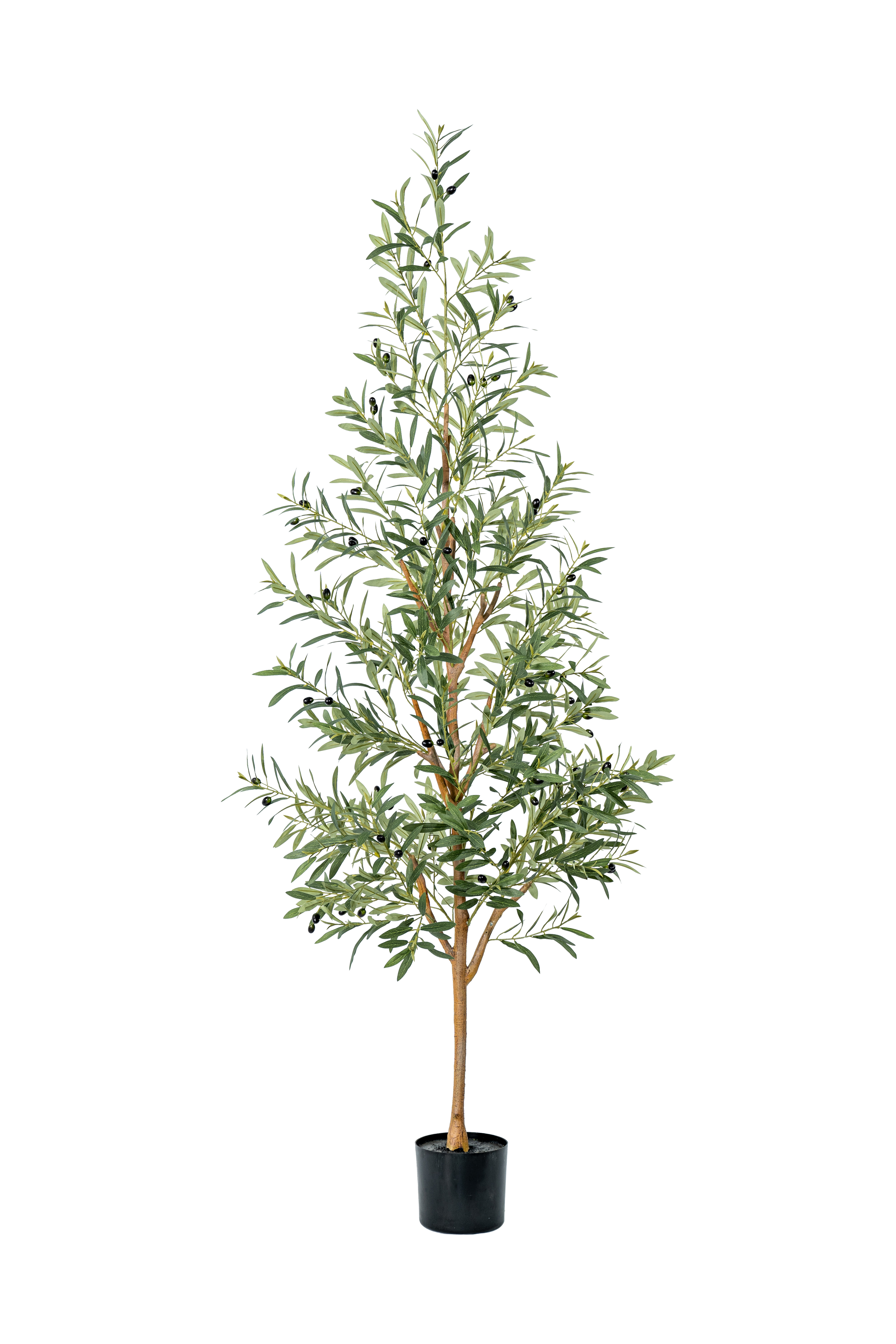 200cm