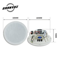 Amplificateur domestique Portable professionnel de 6.5 pouces personnalisable 3W 8 Ohm haut-parleurs de plafond pour matériel métallique de sonorisation