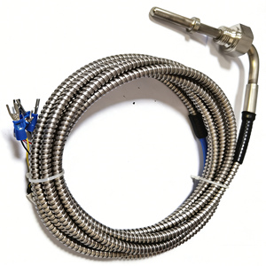 Sensore di Temperatura Industriale <span class=keywords><strong>PT100</strong></span> in Platino ad Alta Precisione, Resistenza Termica Filettata, Sistema a 3 Fili con Sonda Singola - Product Image 5