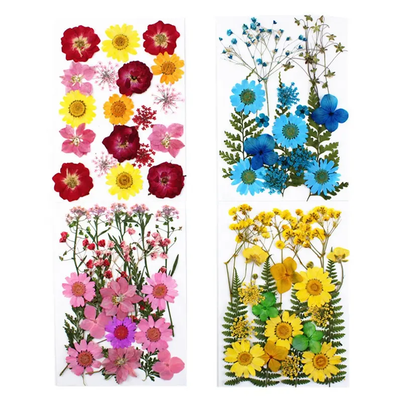 SN-T10016 фабричная поставка DIY Материал рамы сушеные прессованные цветы для смолы