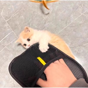 ถุงมือกำจัดขนสัตว์เลี้ยงแบบผ้า ขนาด 24x16 ซม. สำหรับทำความสะอาดขนแมวและสุนัข - Product Image 2