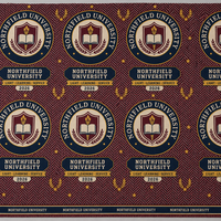 Kain Seragam Universitas 100% Katun untuk Upacara Wisuda, Emblem Kustom, 130gsm, Lebar 44/45 inci, 600 Yard Per Bale, Ghana Nigeria