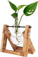 Terrarium pour plantes avec support en bois, vase à bulbe pour plantes aquatiques hydroponiques d'intérieur, décoration de bureau, vase à 1 ampoule