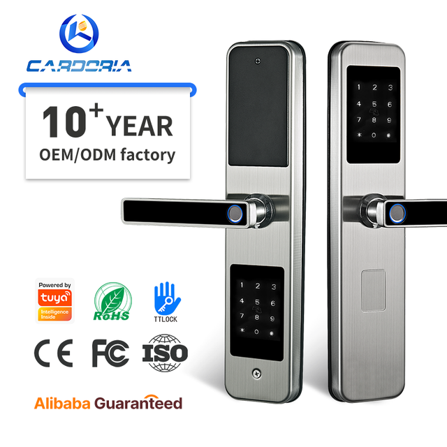 Wholesale Double Sided Fingerprint Smart Door Lock with WiFi Stainless Steel Handle for Wood Door